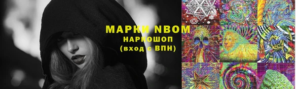 дурь Алексин
