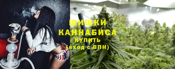 spice Абаза