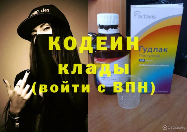 дурь Алексин