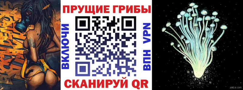 даркнет сайт Талдом Галлюциногенные грибы Cubensis
